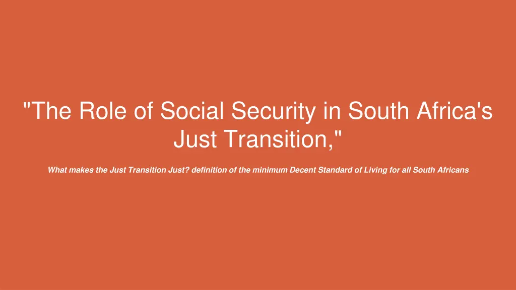 the role of social security in south africa n.w