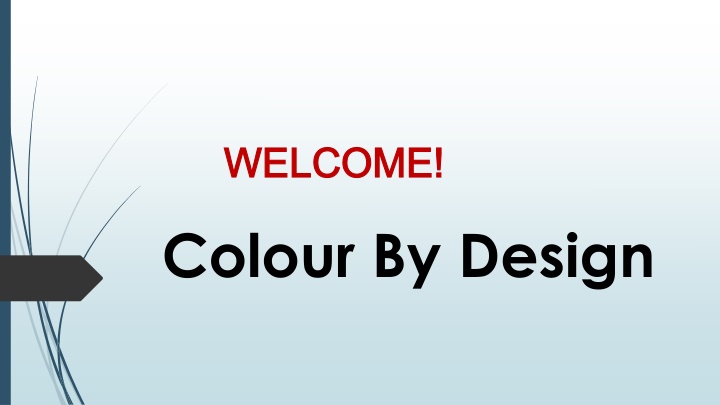 Best House Painting in Bilgola Beach