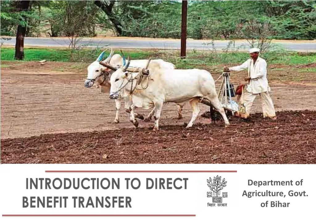department of agriculture govt of bihar n.w