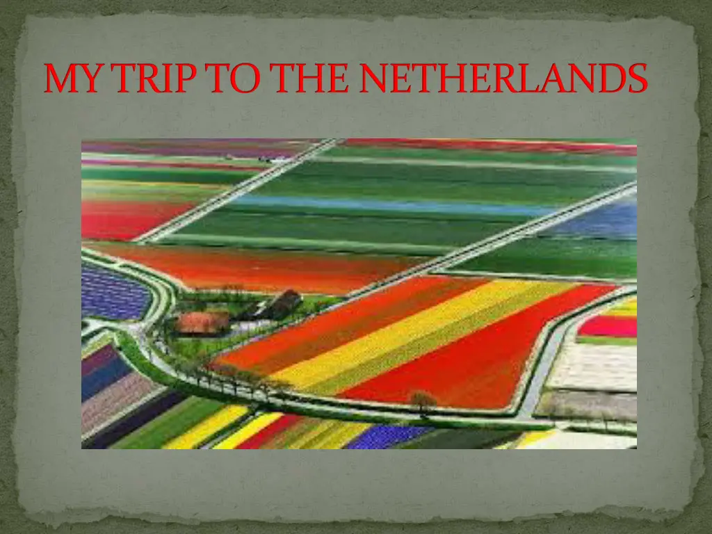 my trip to the netherlands n.w