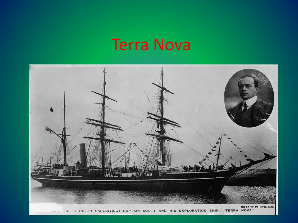 terra nova n.w