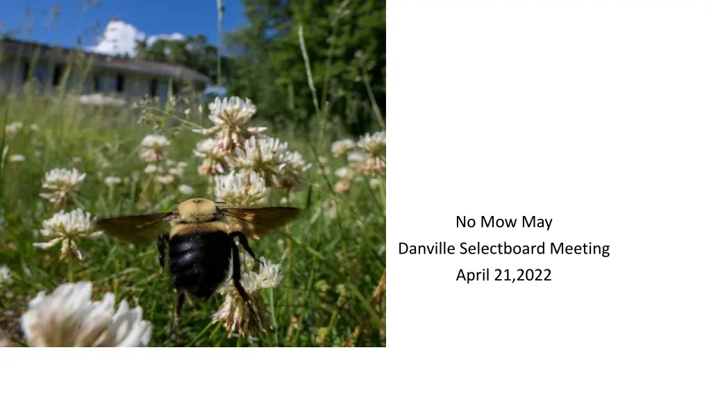 no mow may n.w
