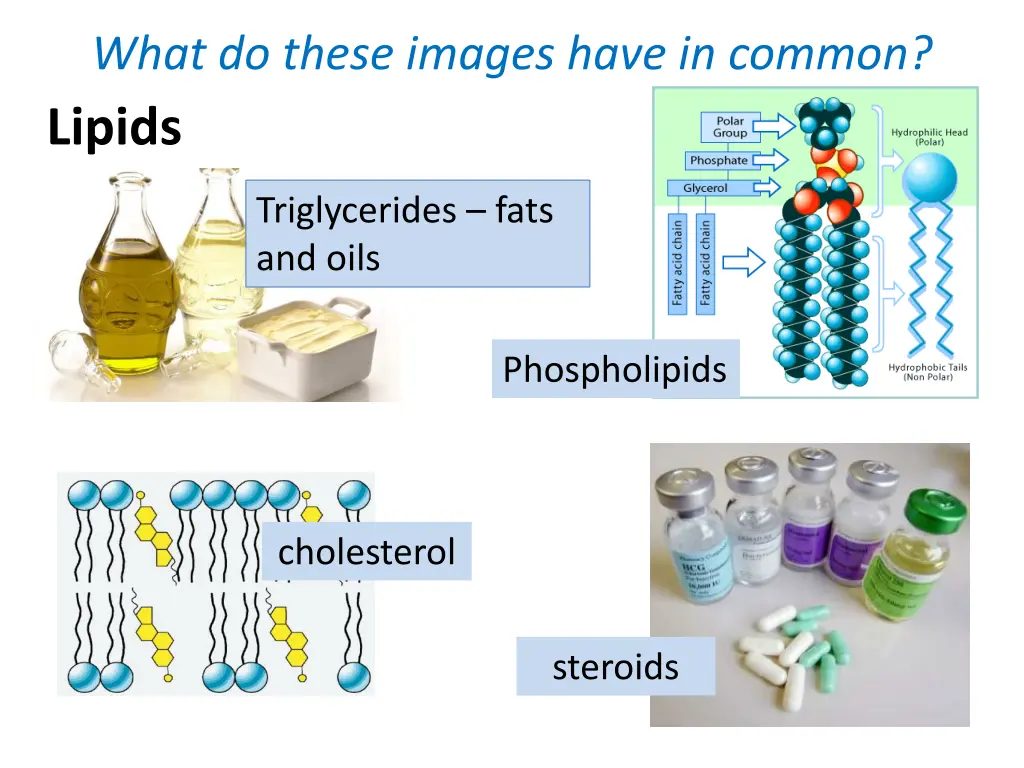 what do these images have in common lipids n.w