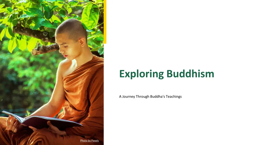 exploring buddhism n.w