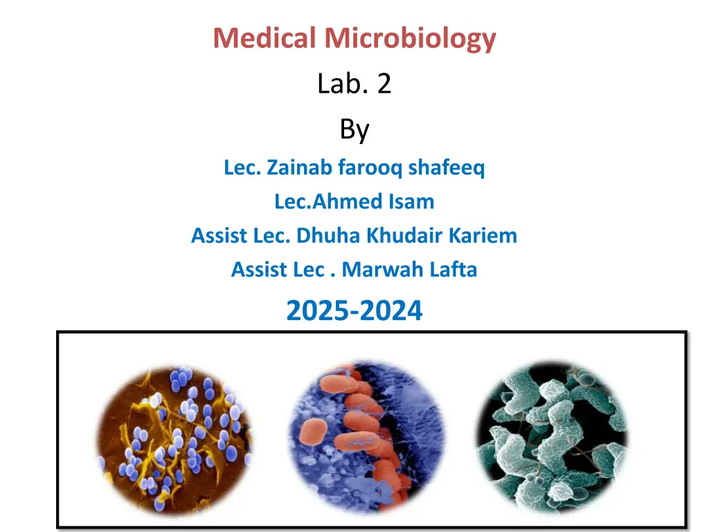 medical microbiology lab 2 by lec zainab farooq n.w