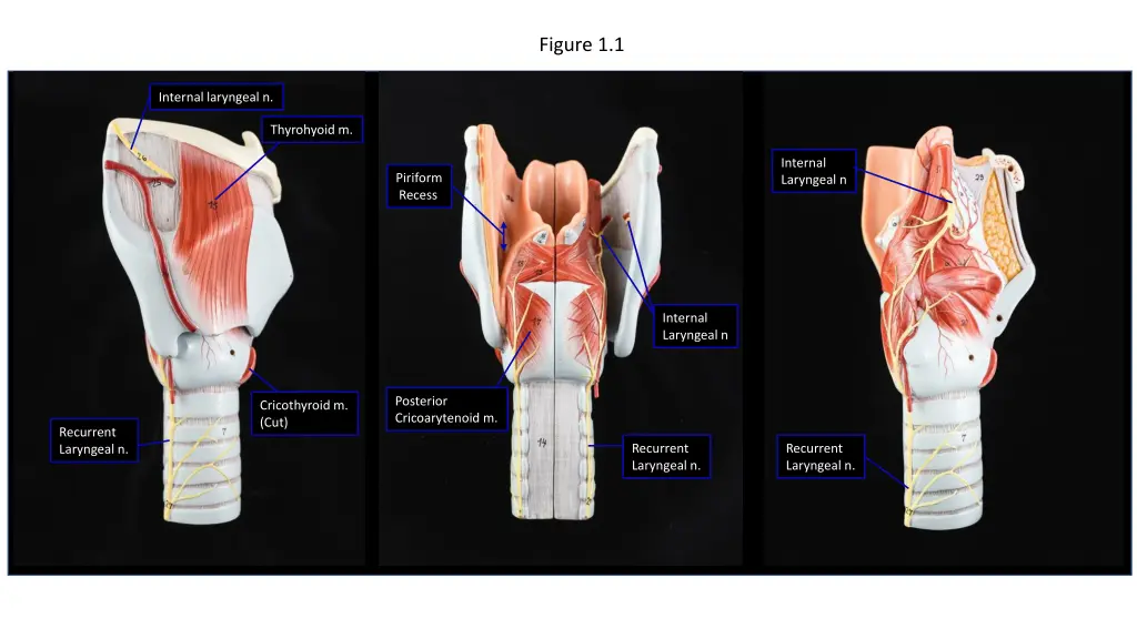 figure 1 1 n.w