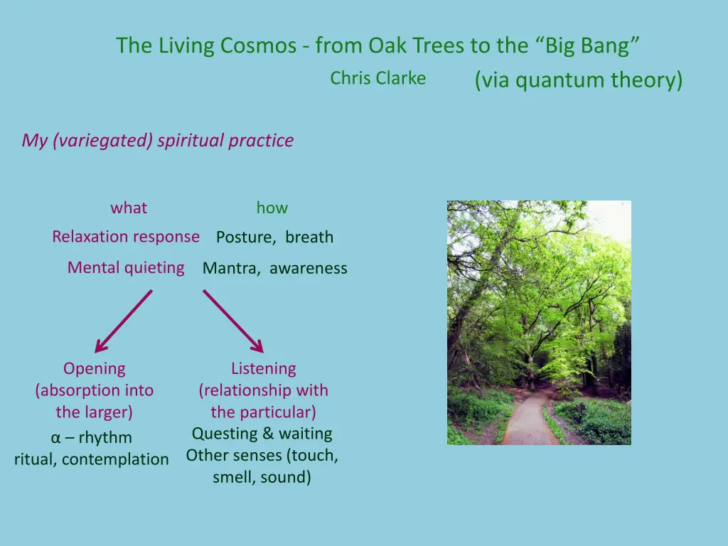 the living cosmos from oak trees to the big bang n.w