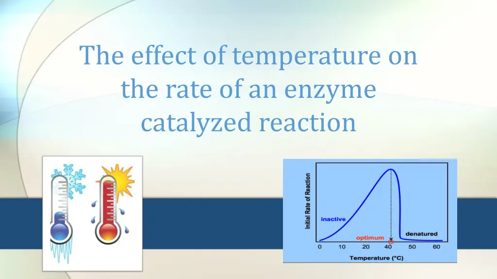 the effect of temperature on the rate n.w