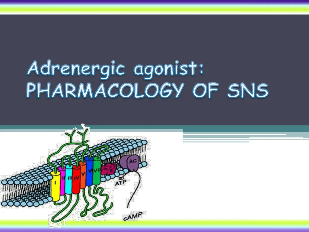 adrenergic agonist pharmacology of sns n.w