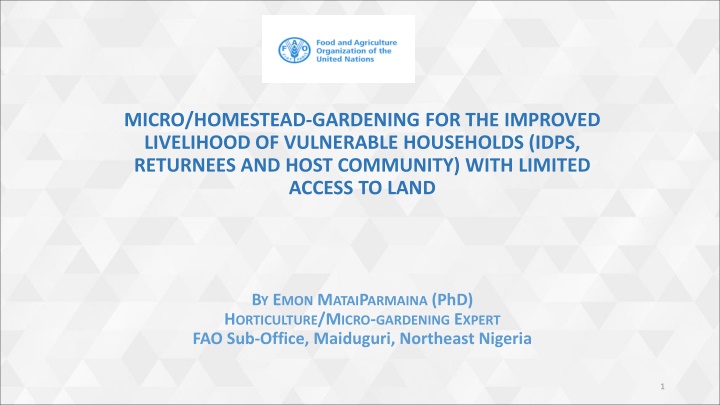 Micro/Homestead Gardening for Improved Livelihood in Northeast Nigeria