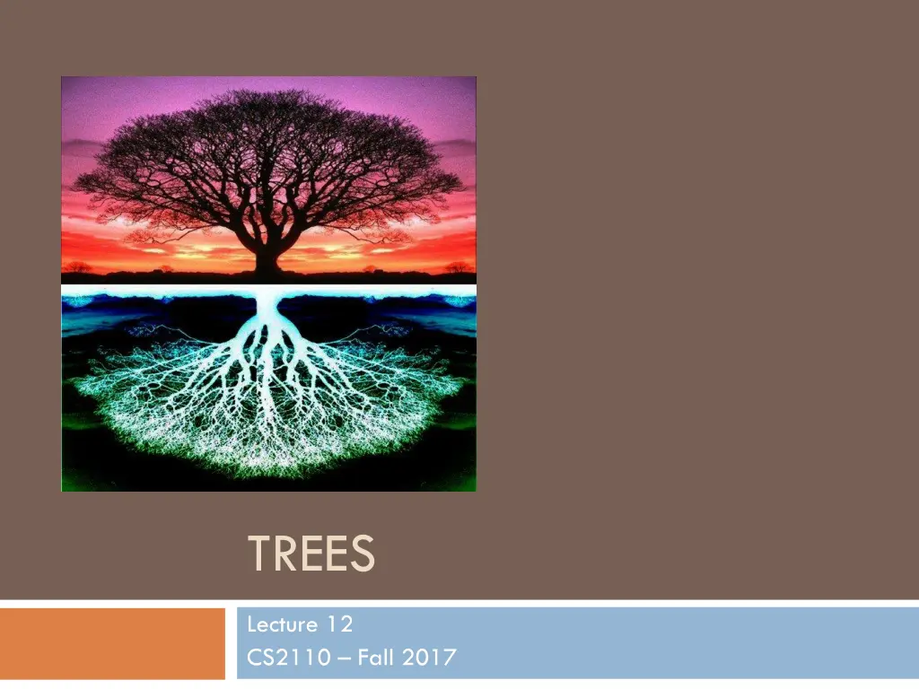trees n.w
