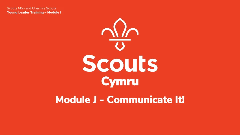 scouts m n and cheshire scouts young leader n.w