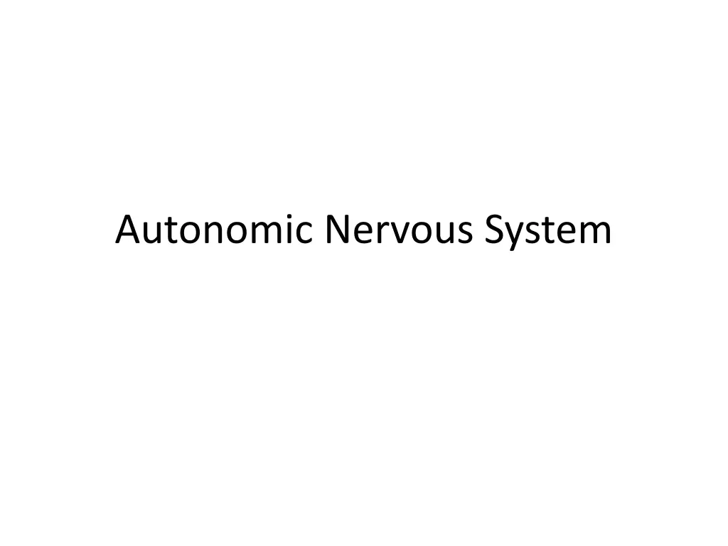 autonomic nervous system n.w
