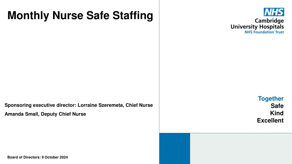 monthly nurse safe staffing n.w