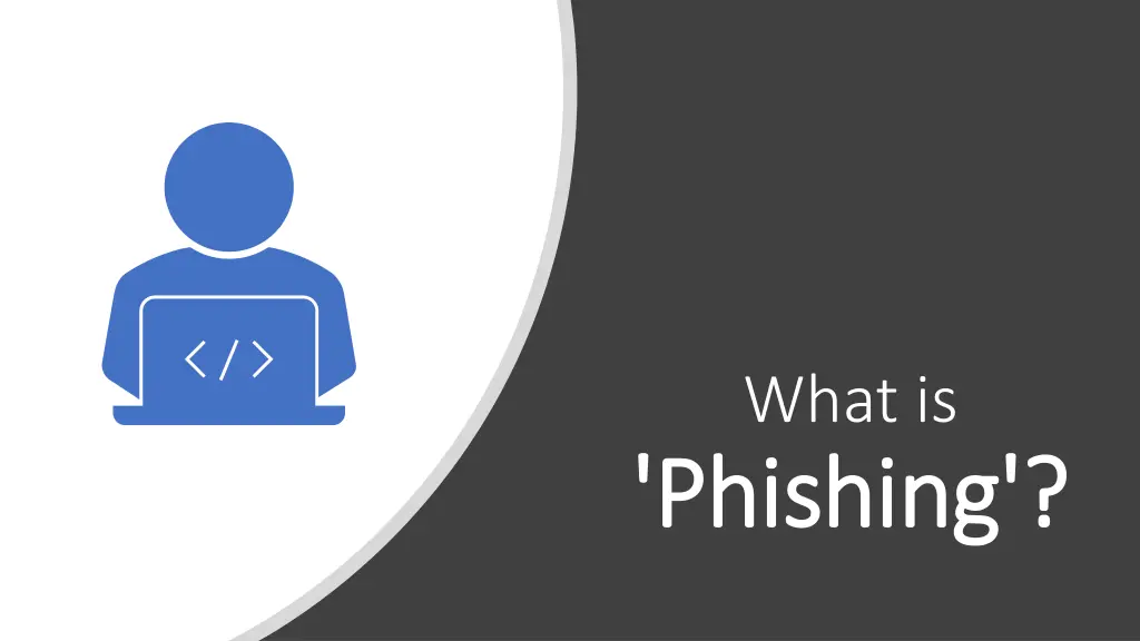 what is phishing phishing n.w