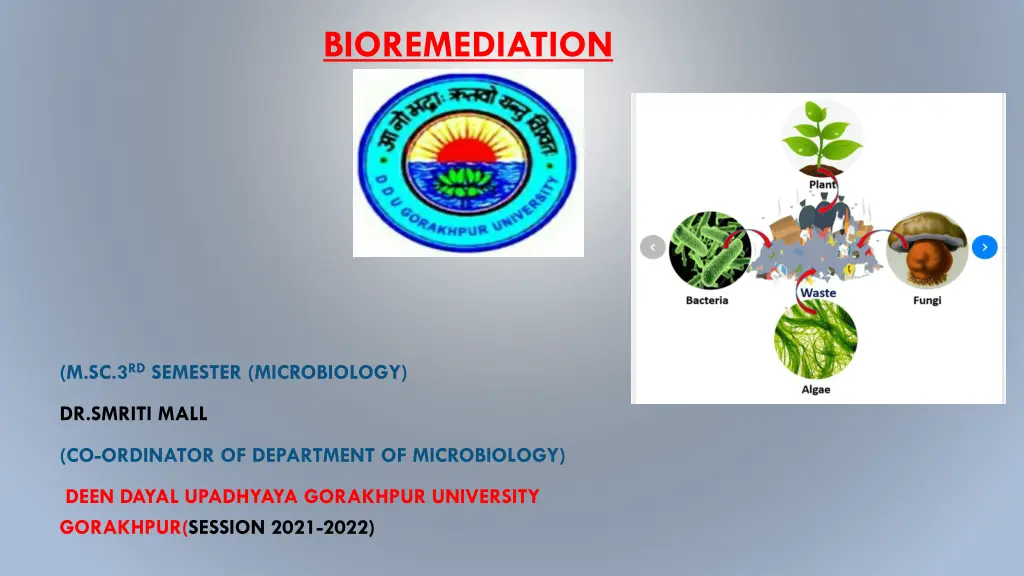 bioremediation n.w