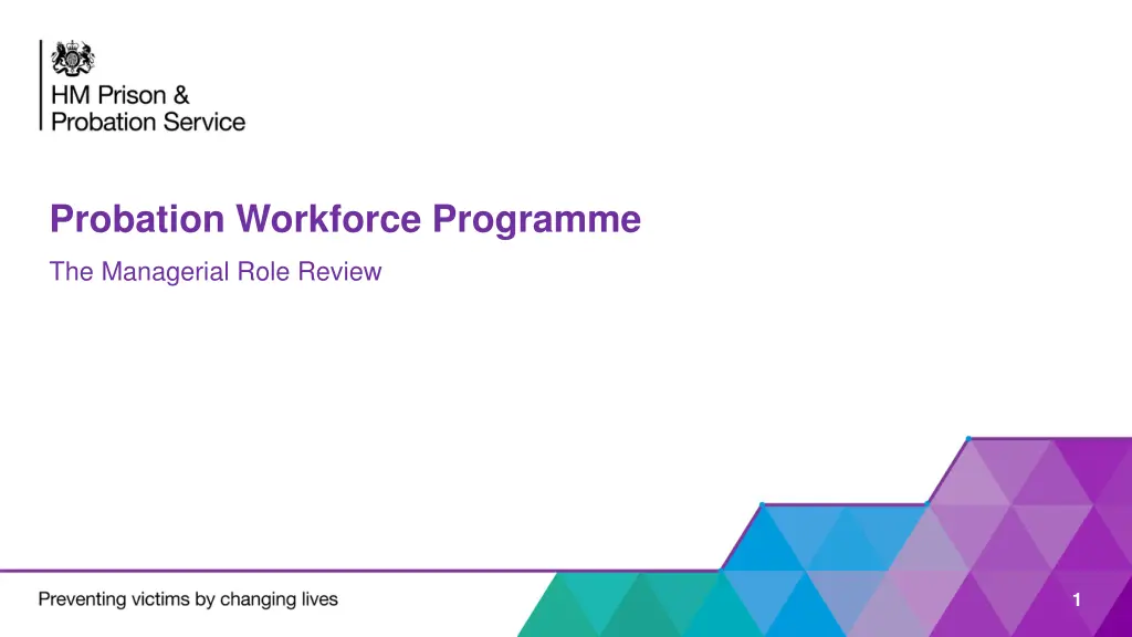 probation workforce programme n.w