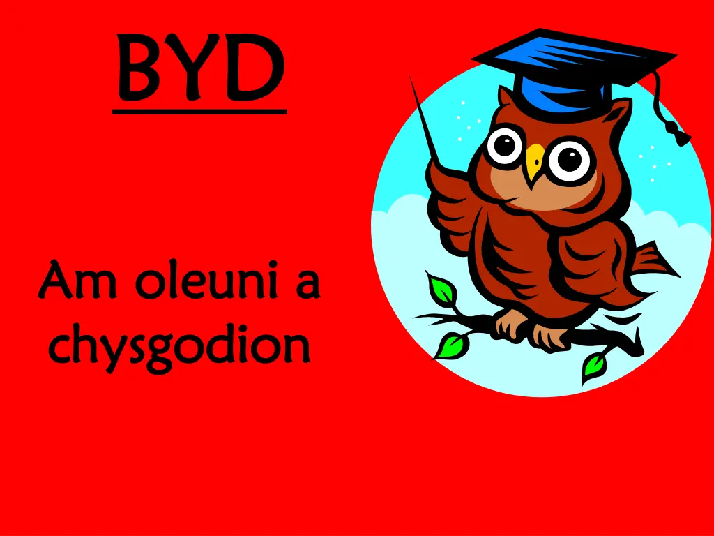 byd byd n.w