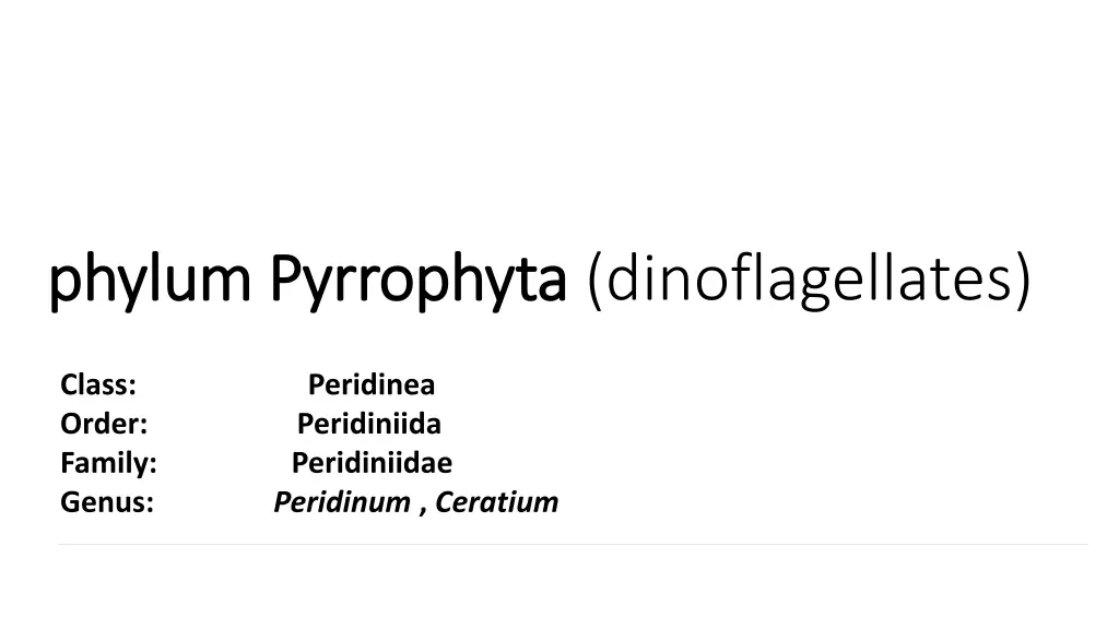 phylum phylum pyrrophyta pyrrophyta n.w