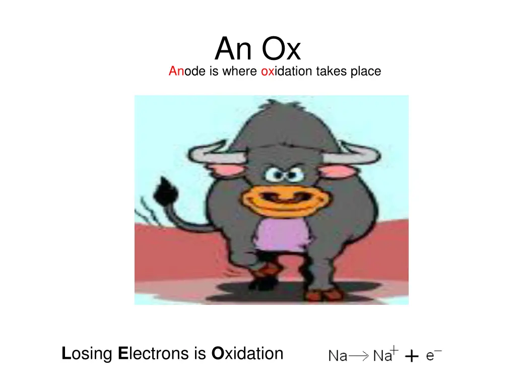 an ox n.w