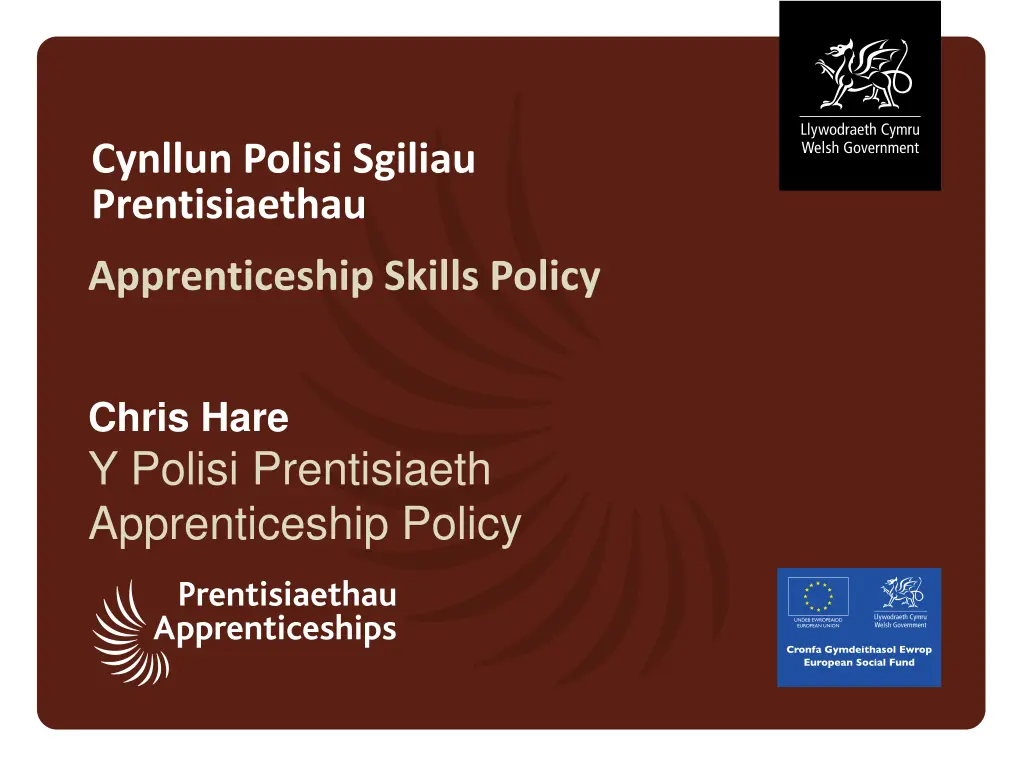 cynllun polisi sgiliau prentisiaethau n.w