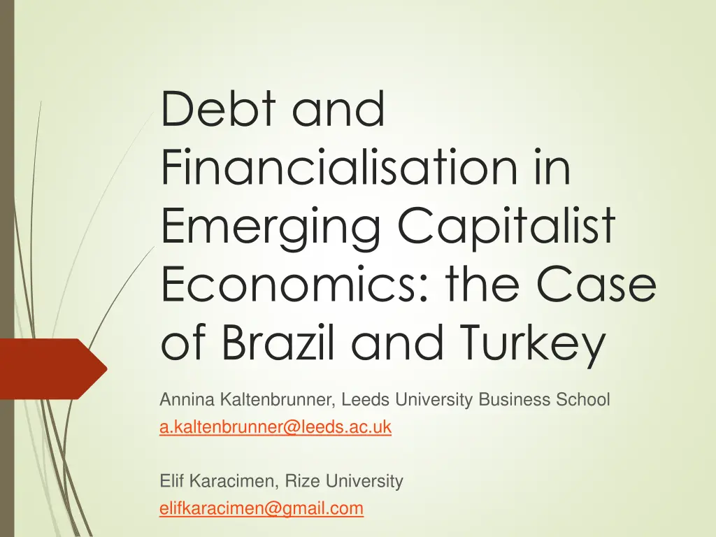 debt and financialisation in emerging capitalist n.w
