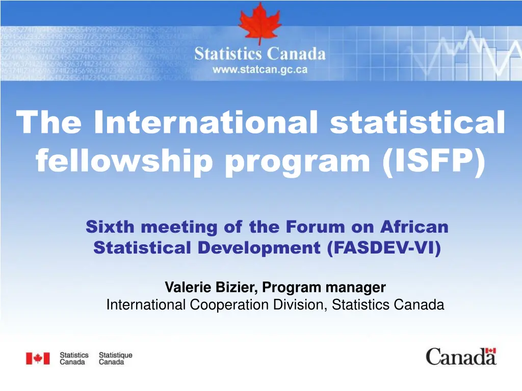 the international statistical fellowship program n.w
