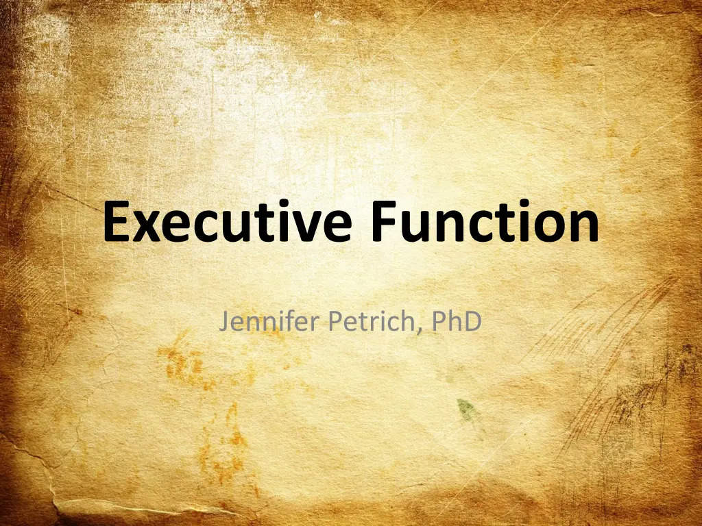 executive function n.w