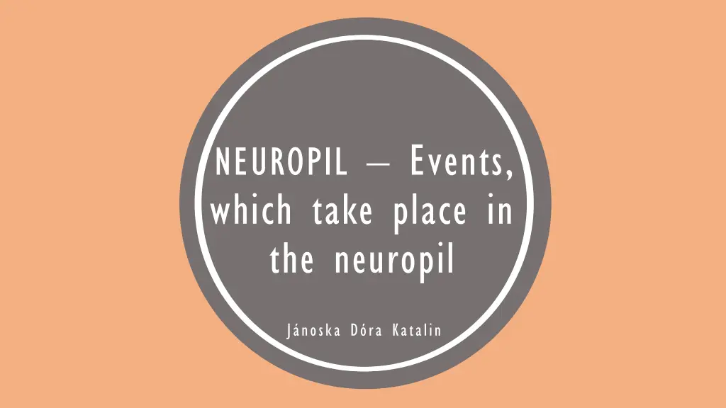 neuropil events which take place in the neuropil n.w