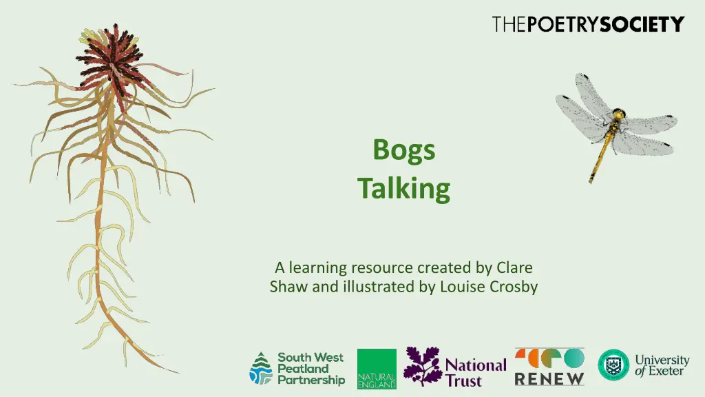 bogs talking n.w