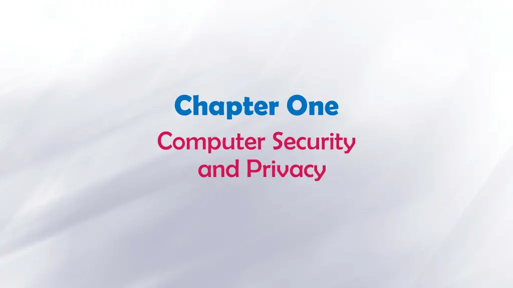 chapter one computer security and privacy n.w