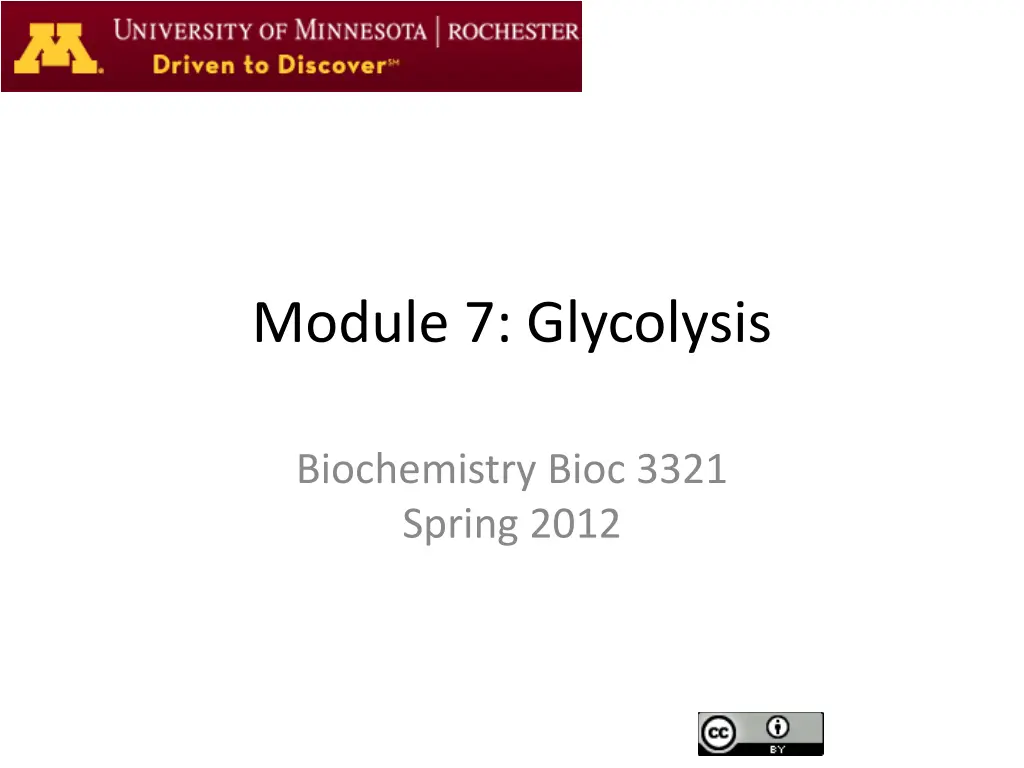 module 7 glycolysis n.w