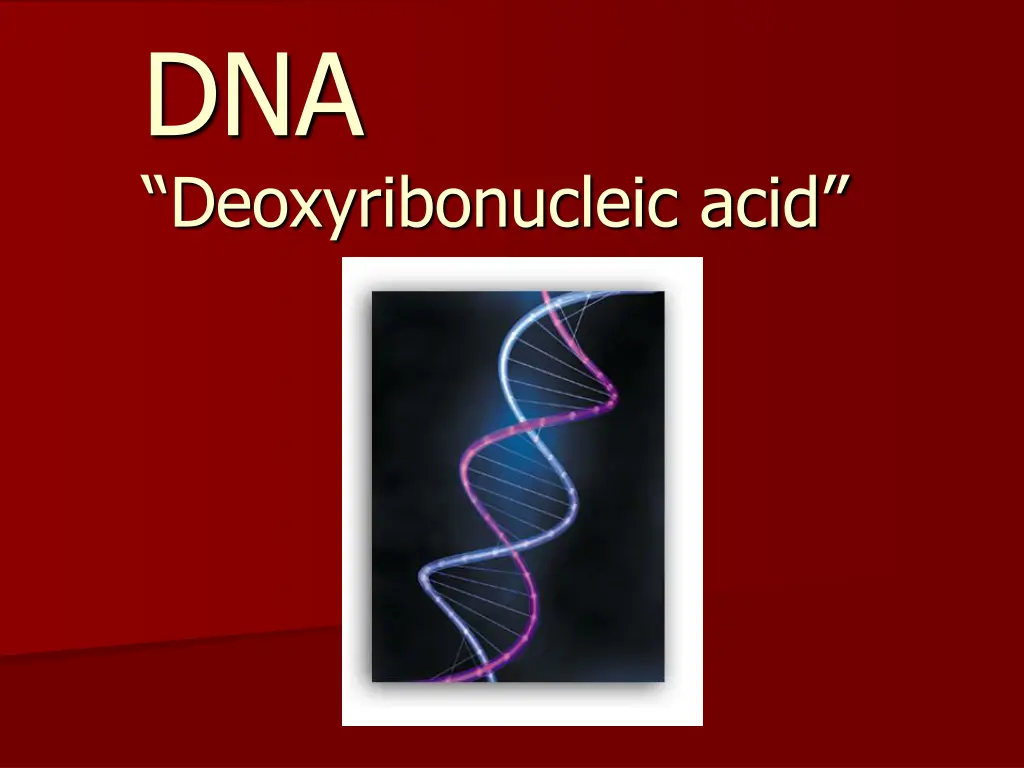 dna deoxyribonucleic acid n.w