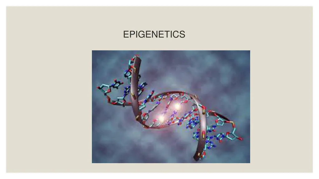 epigenetics n.w