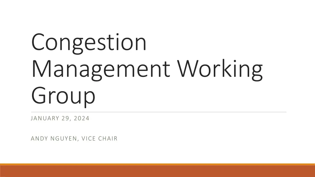 congestion management working group n.w