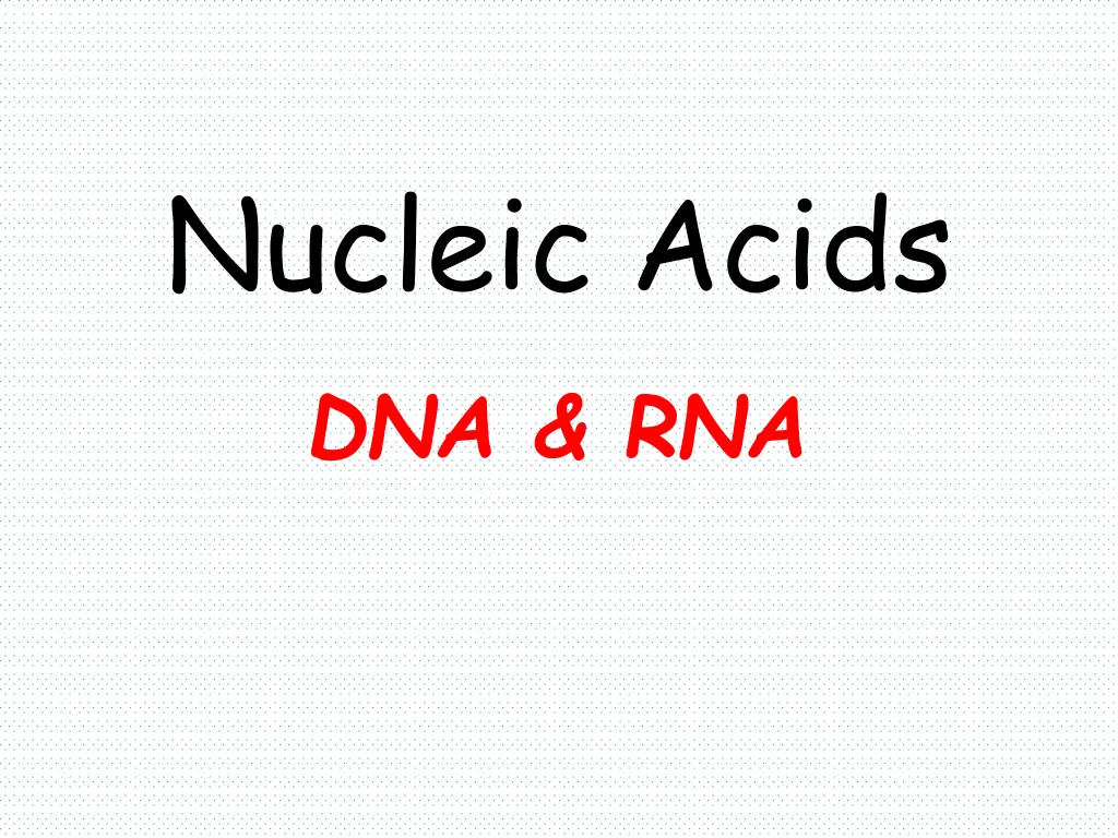 nucleic acids dna rna n.w