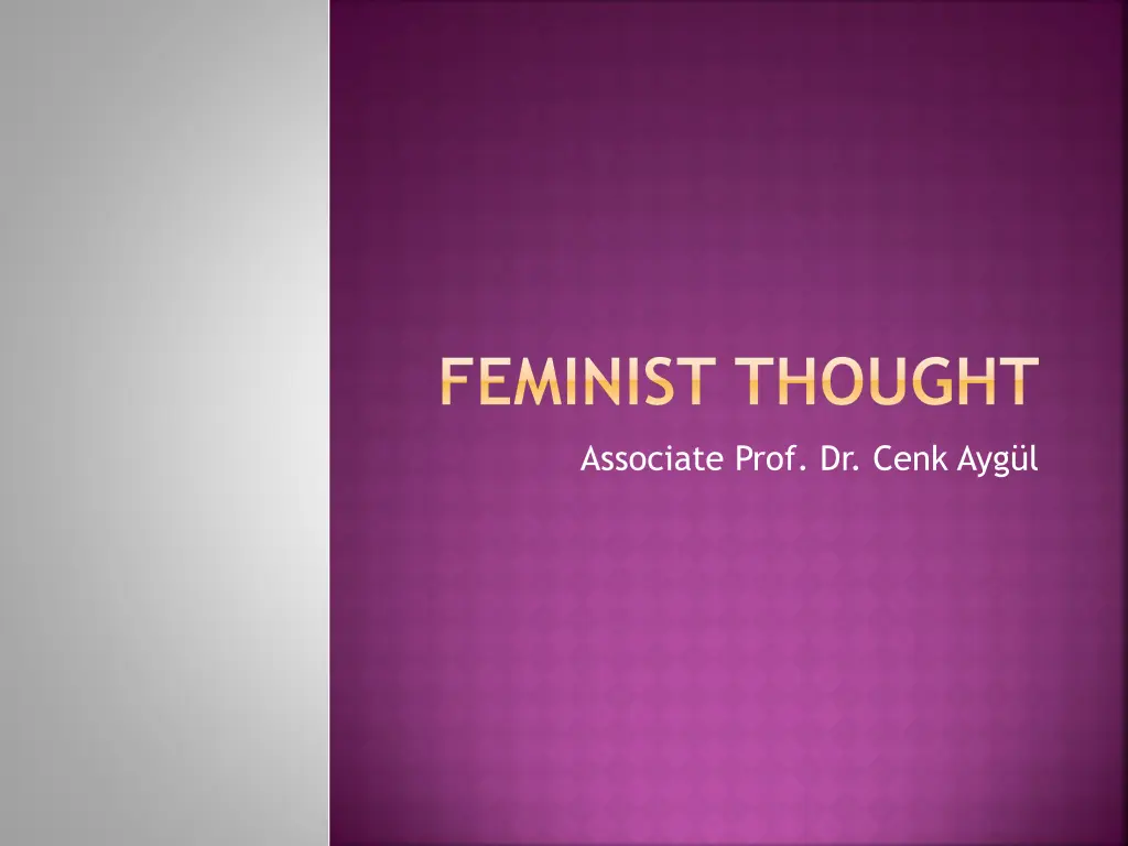 feminist thought n.w