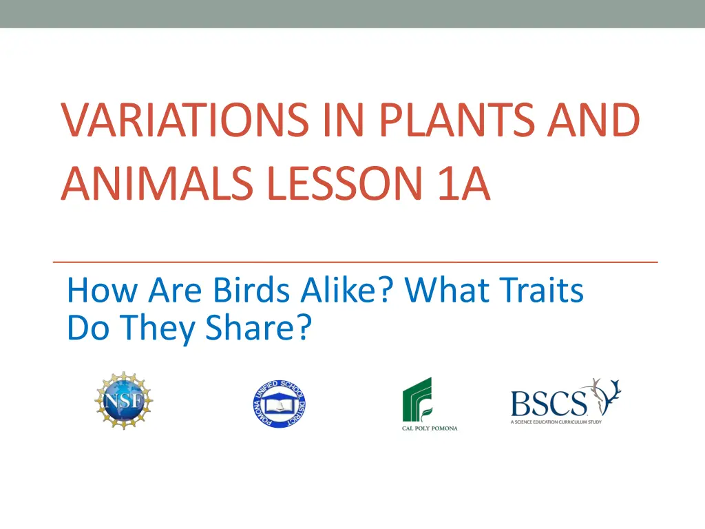 variations in plants and animals lesson 1a n.w