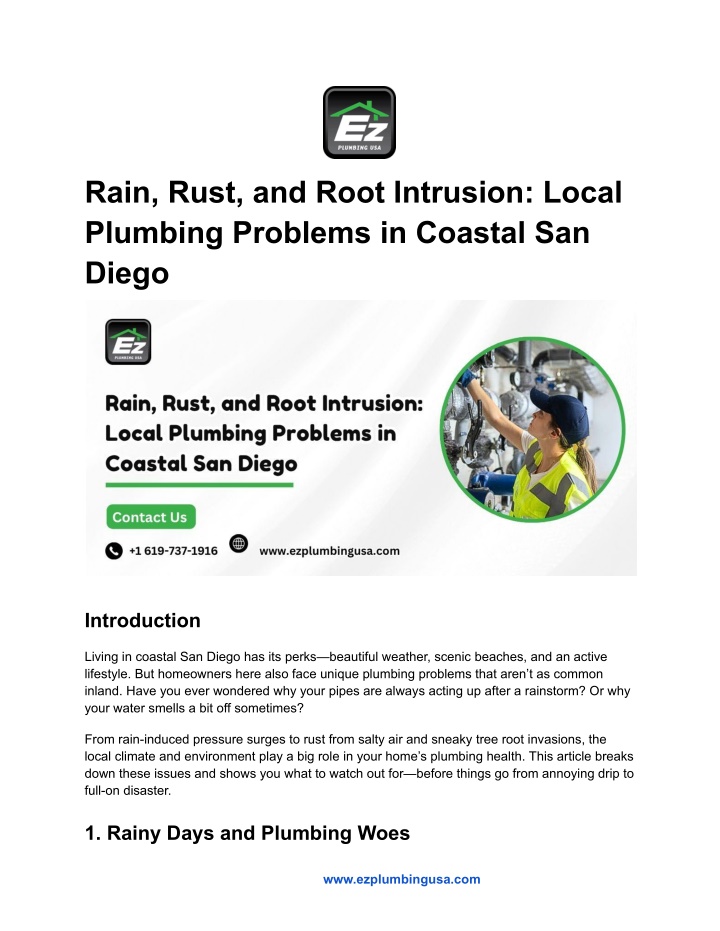 rain rust and root intrusion local plumbing n.w