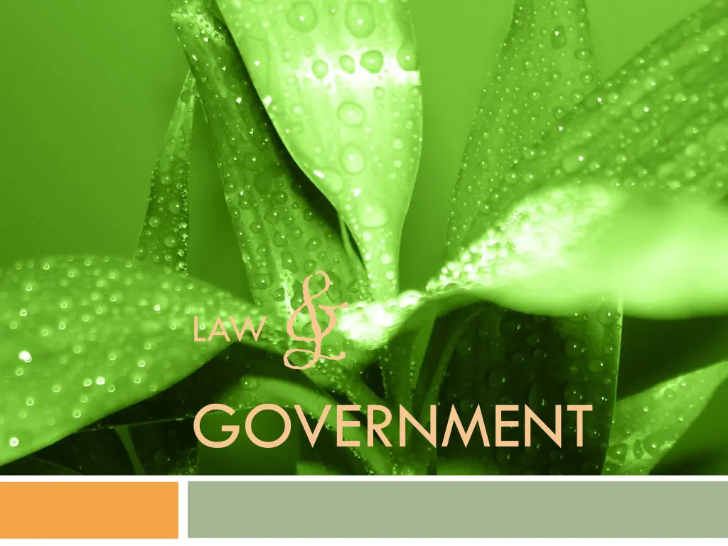 law government n.w