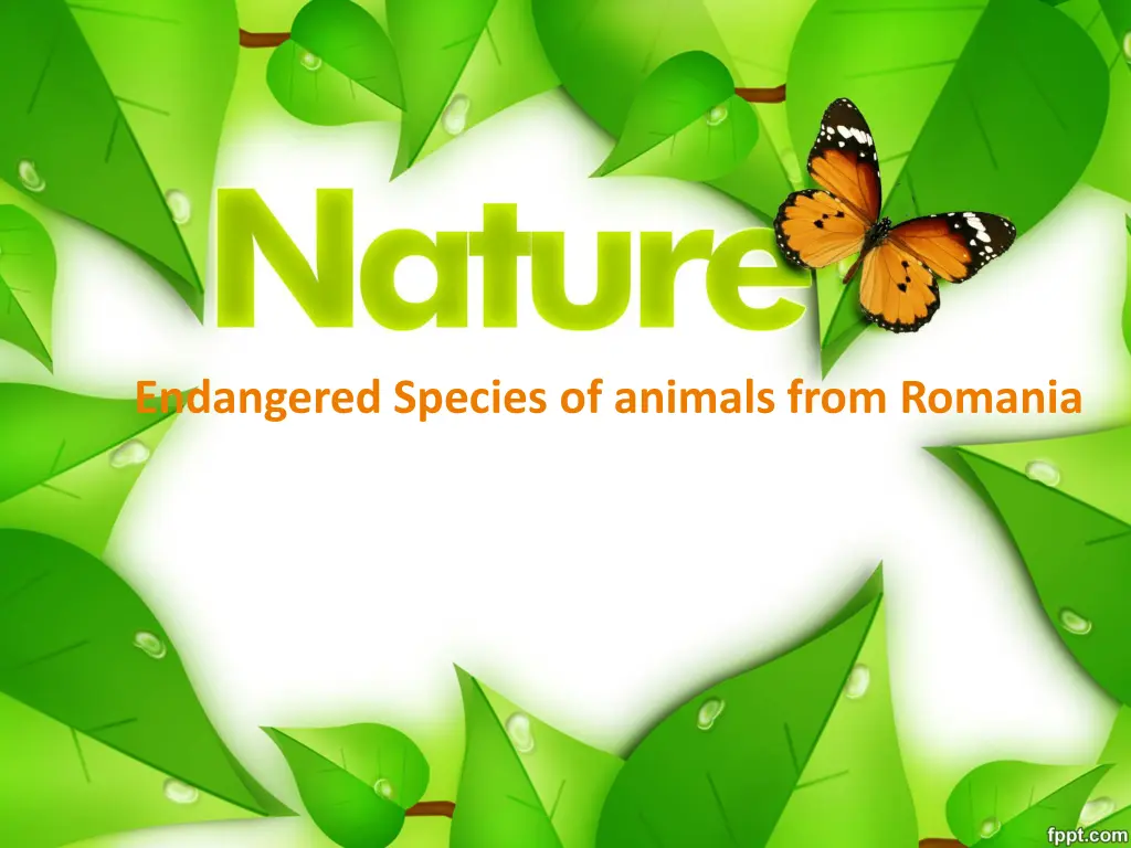 endangered species of animals from romania n.w