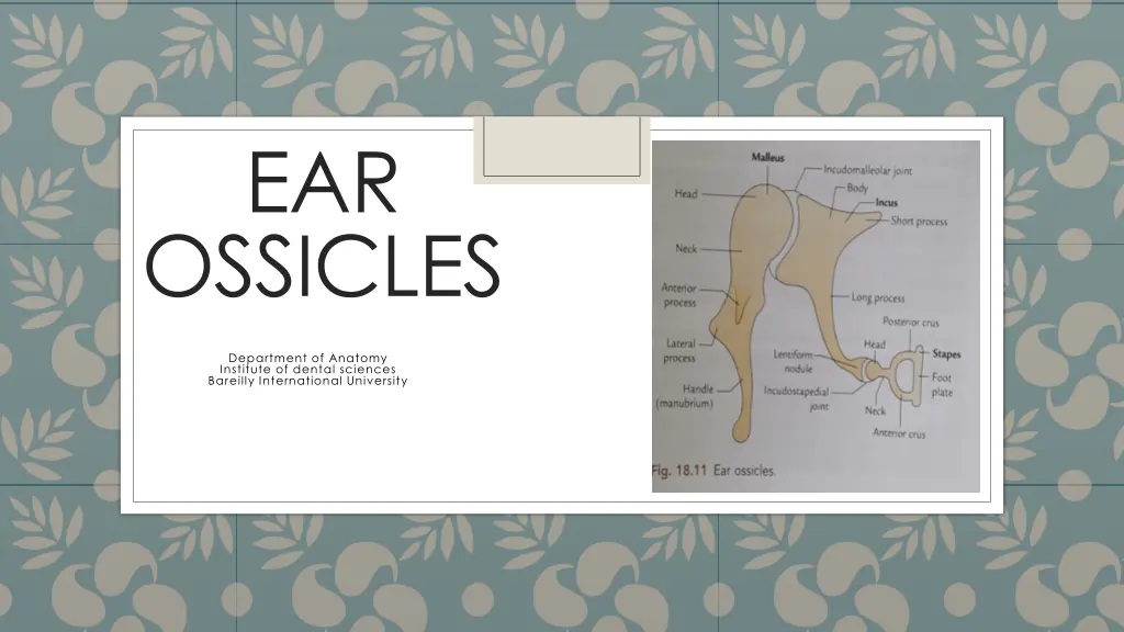 slide1 n.w