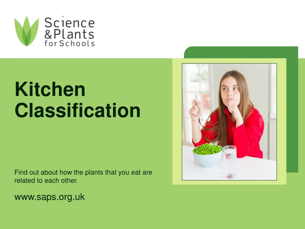 kitchen classification n.w