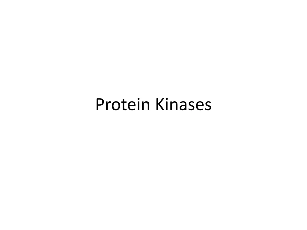 protein kinases n.w