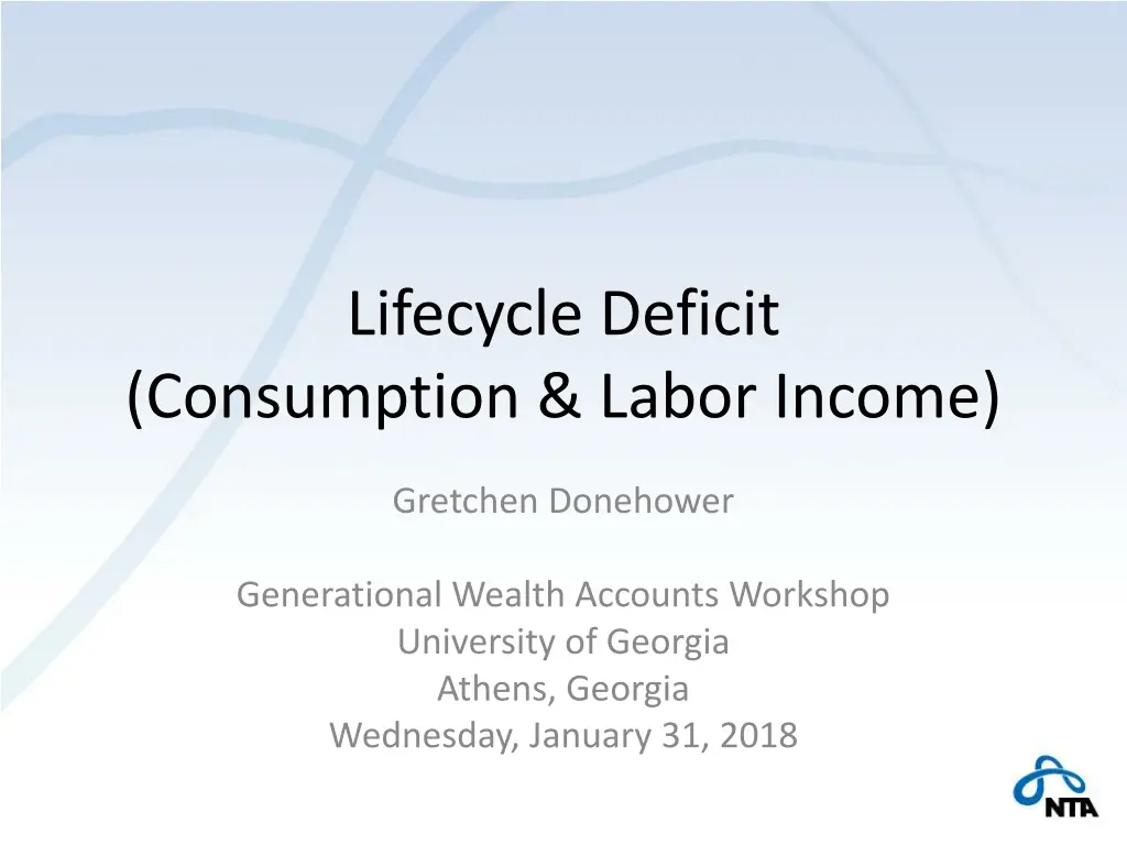 lifecycle deficit consumption labor income n.w