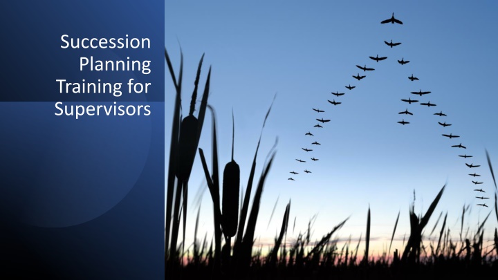 Comprehensive Succession Planning Training for Supervisors