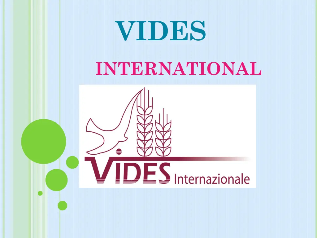 vides n.w