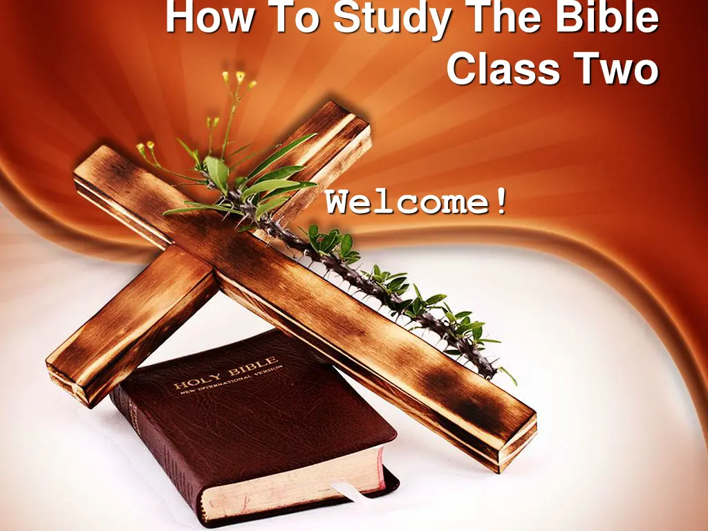how to study the bible n.w