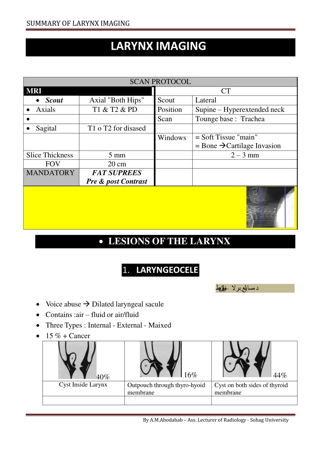 summary of larynximaging n.w