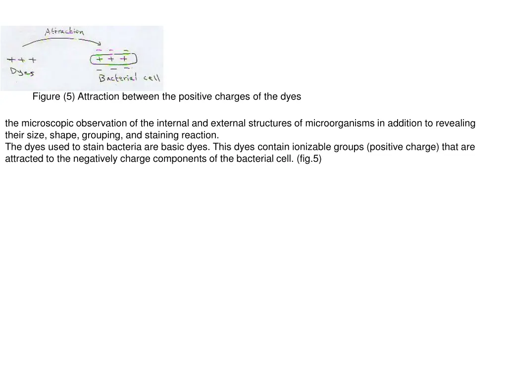 figure 5 attraction between the positive charges n.w